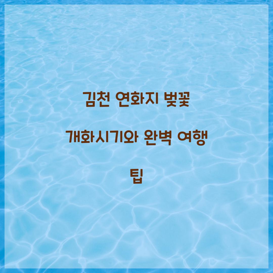 김천 연화지 벚꽃 개화시기