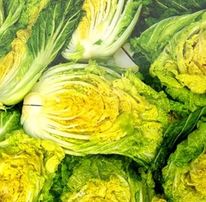 준고랭지 괴산 절임배추