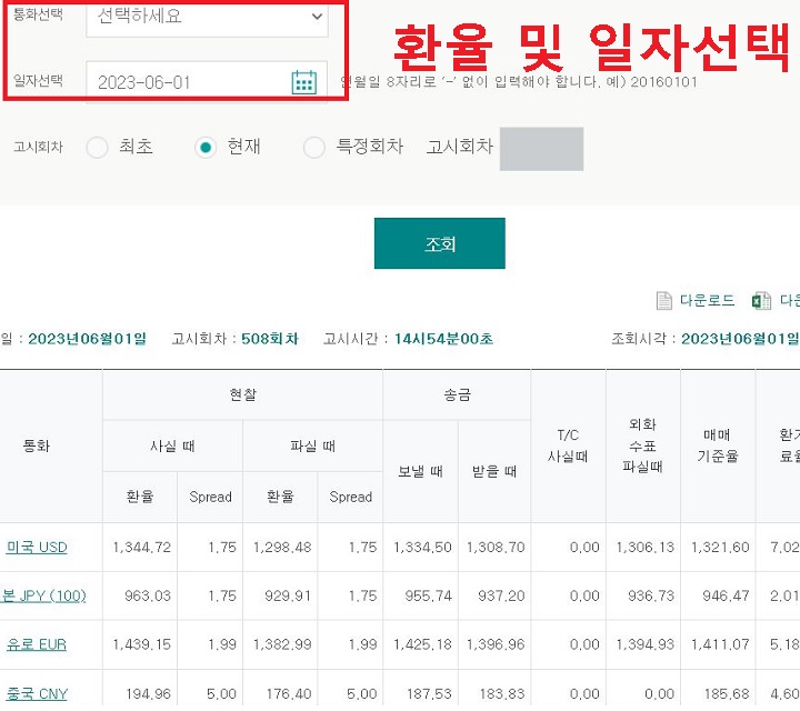 통화별 환율 보임