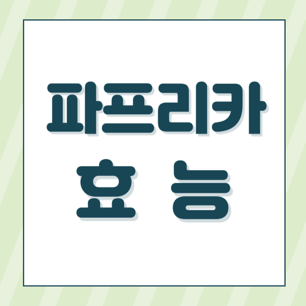 파프리카효능