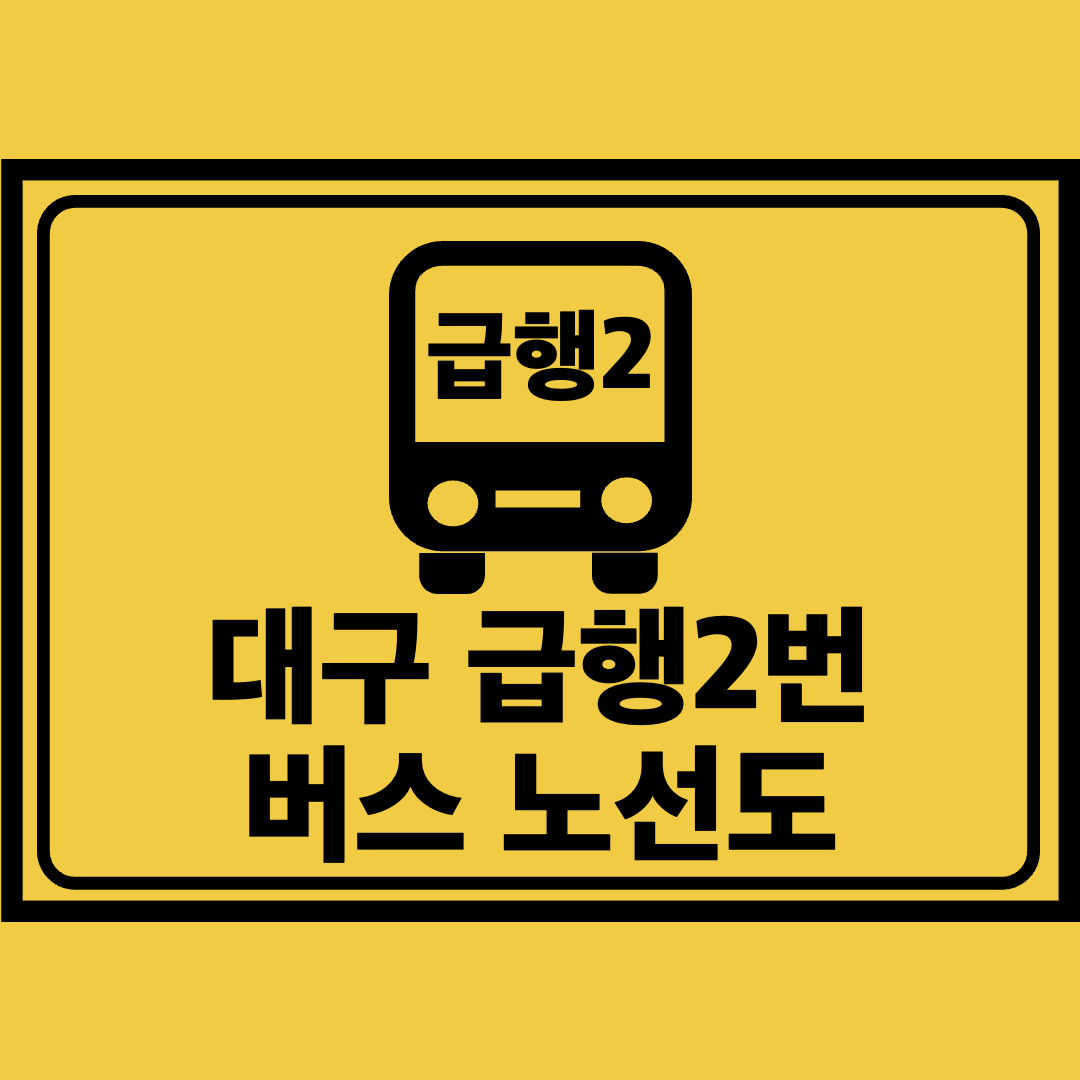 대구급행2번버스노선도