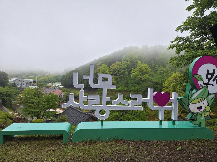 비 오는 날 더 운치있었던 전남 보성다향대축제