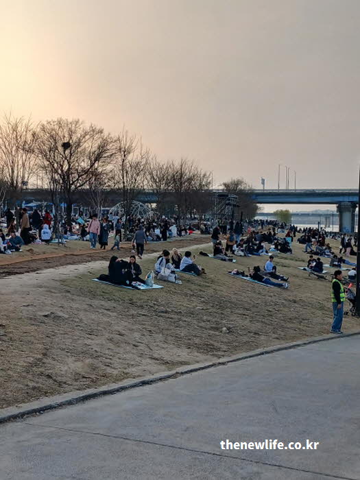 여의도 벚꽃 축제 특별 행사 사진
