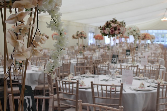 냉동난자 보조생식술 지원사업 신청방법 및 자격 총정리