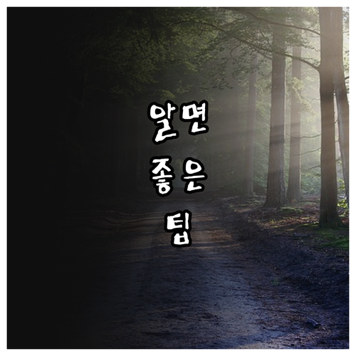 2025 강릉 미혼모 건강한 출산, ..