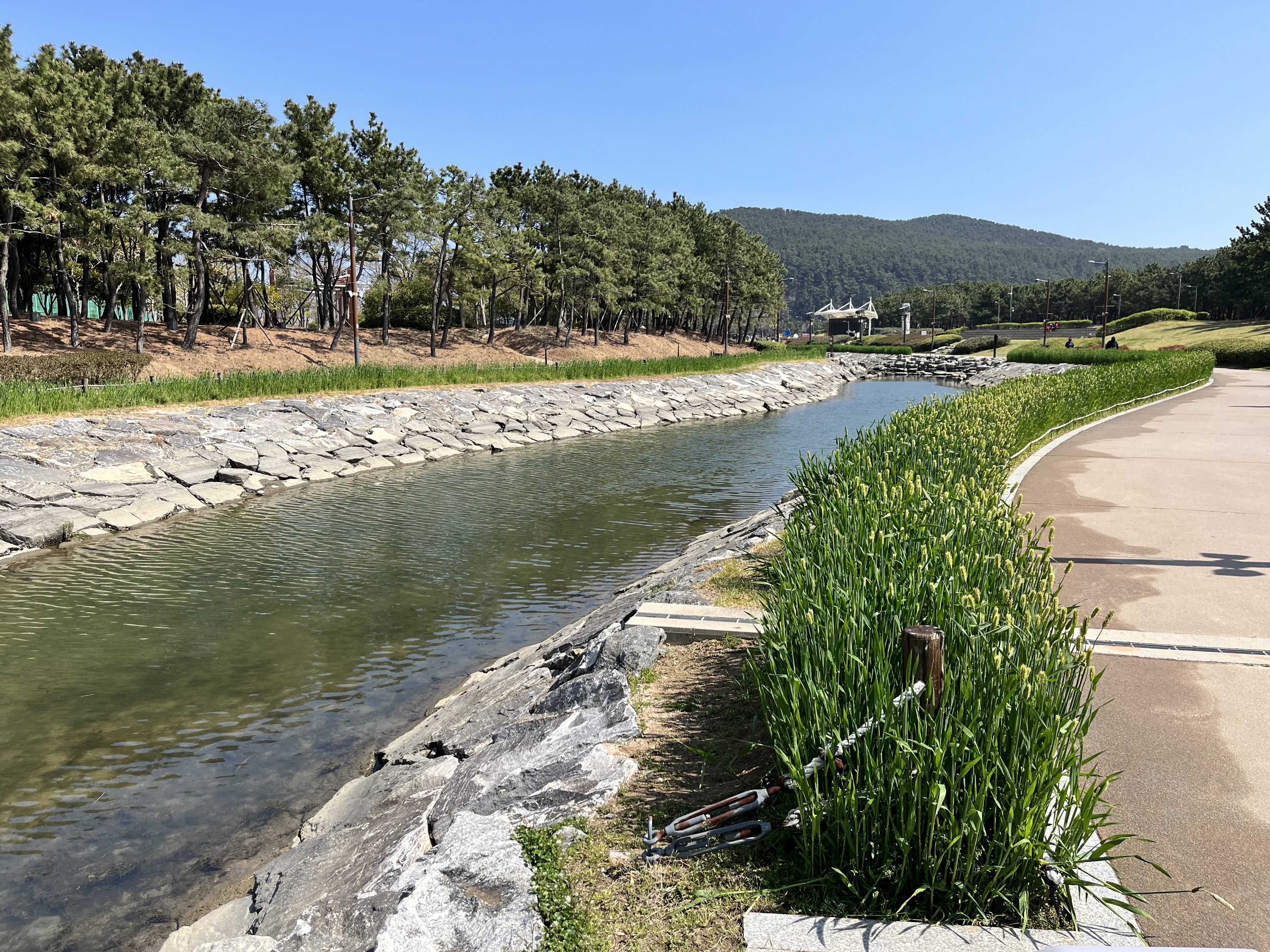 다대포 산책로 사진