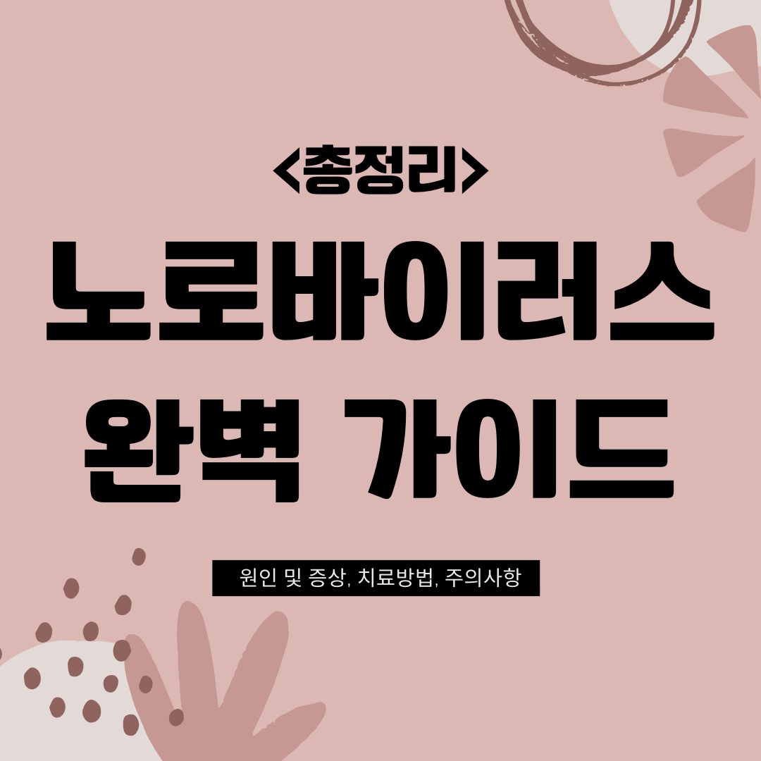 노로바이러스 완벽 가이드