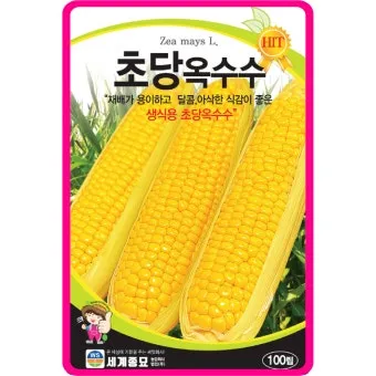 옥수수 키우는 법 품종 파종 수분수 당도 올리는 비결_19