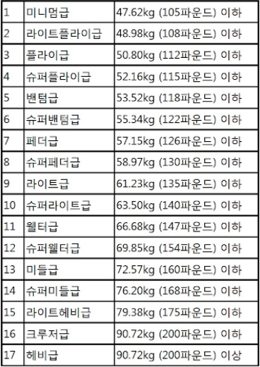 한국권투협회 프로복싱 체급표