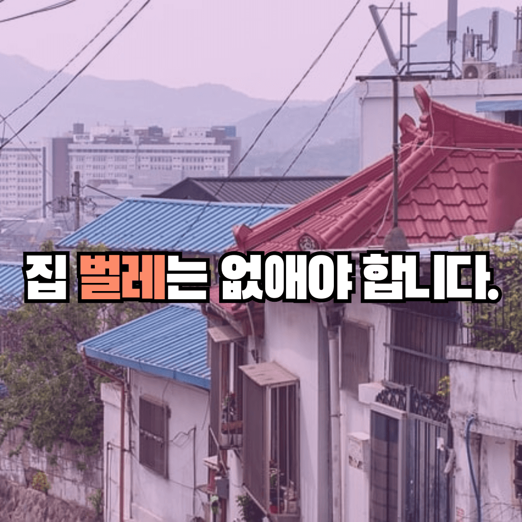 집벌레를 없애야 하는 이유