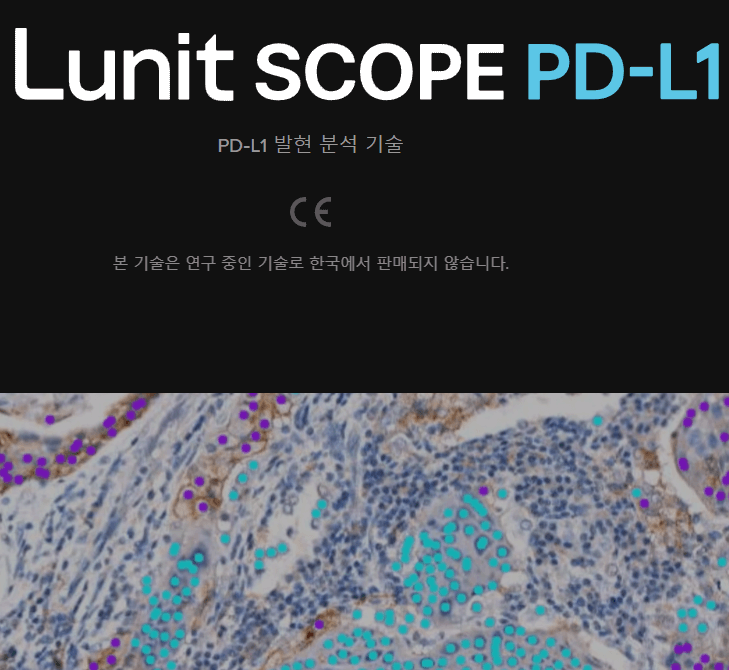 기업 제품 및 설루션-4