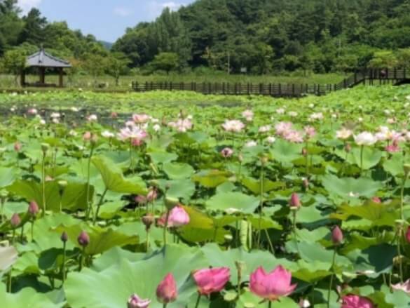 성주 가볼만한곳 베스트 10