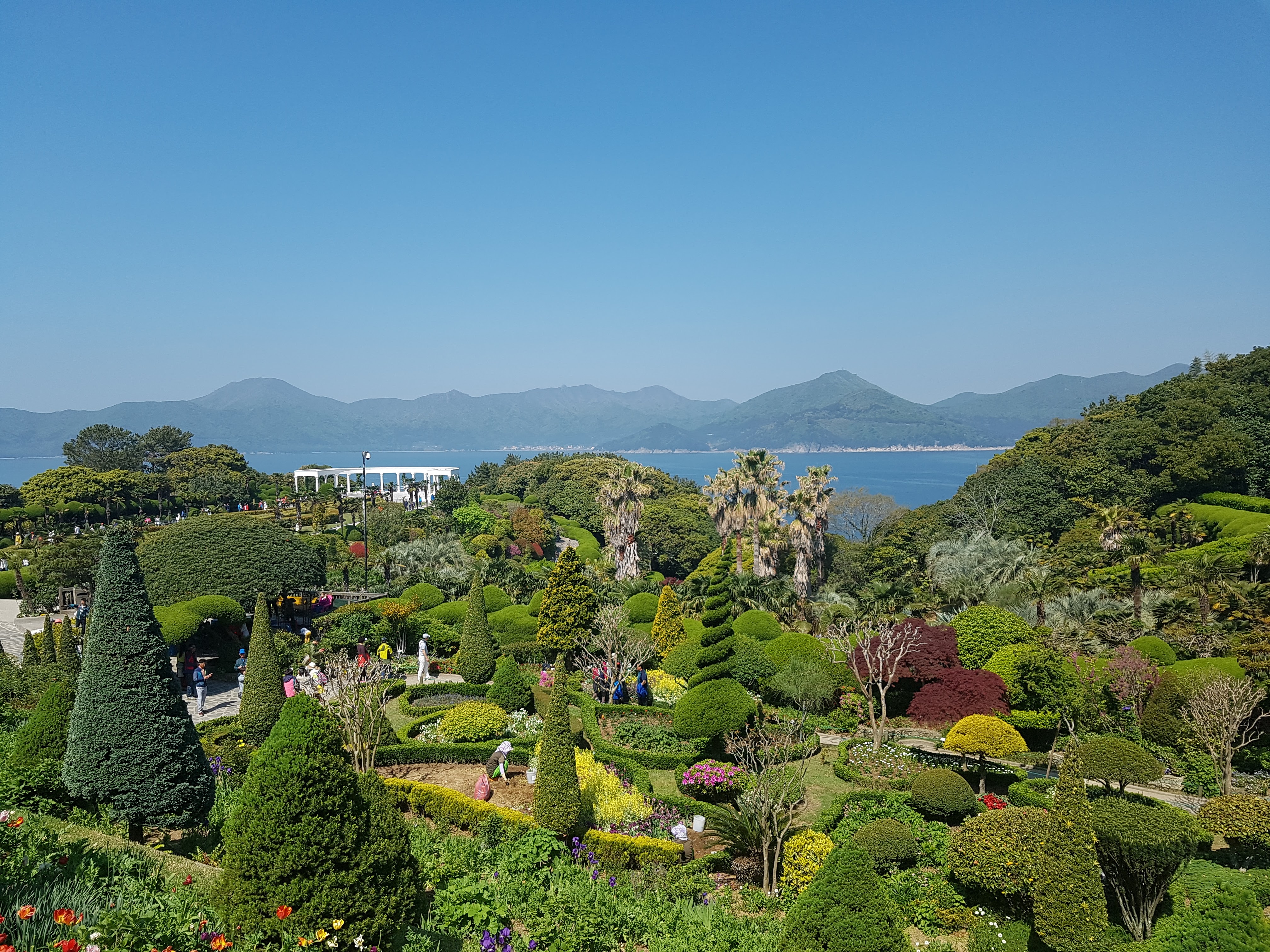 이국적인 조경과 푸른 나무들이 어우러진 외도 보타니아 정원의 전경