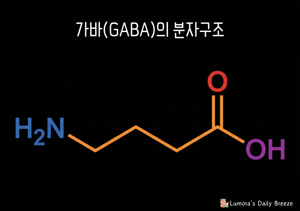 가바란 무엇인가 항목의 가바(GABA)의 분자구조 이미지.