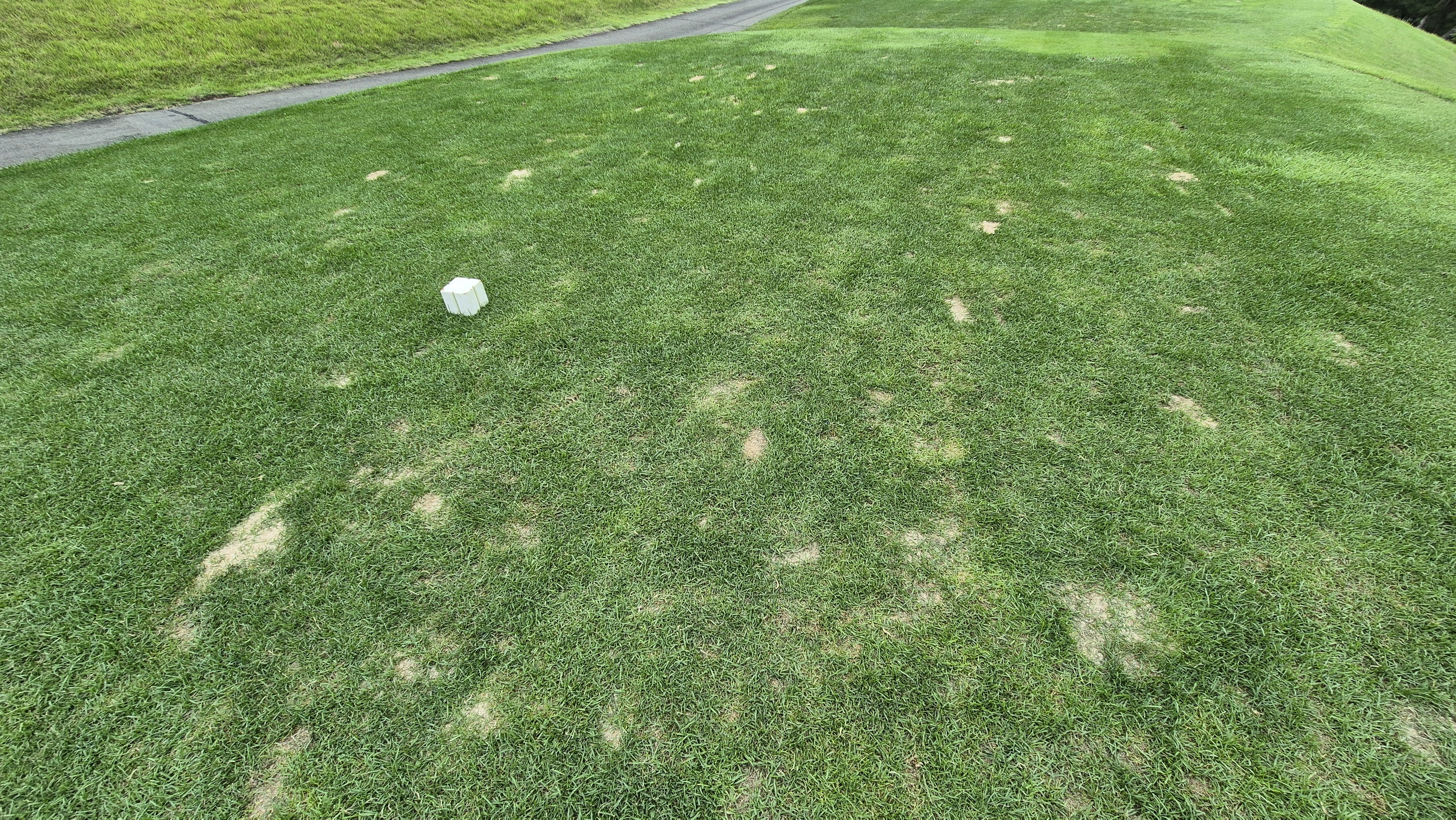 동원썬밸리cc 라운드 후기