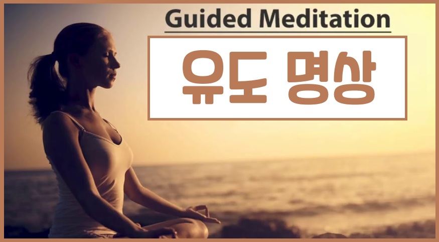 유도 명상