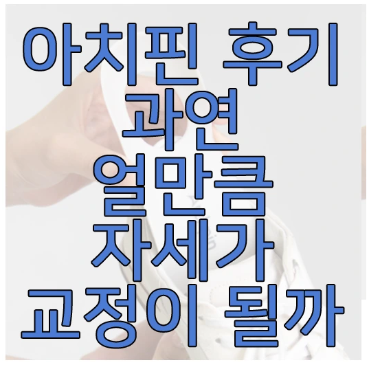 아치핀에 관한 글 보러 가기 링크 사진