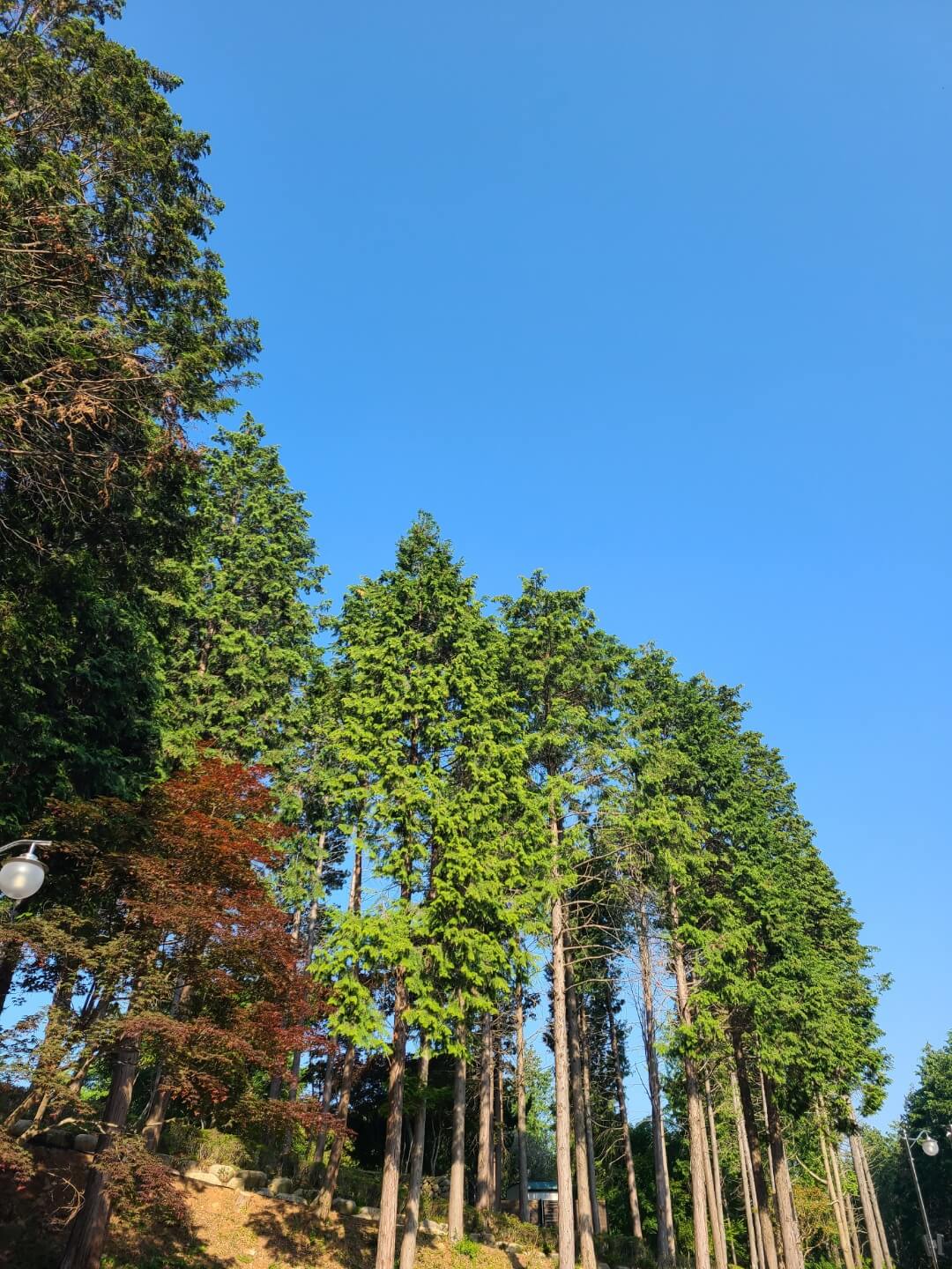 사천 케이블카 자연휴양림