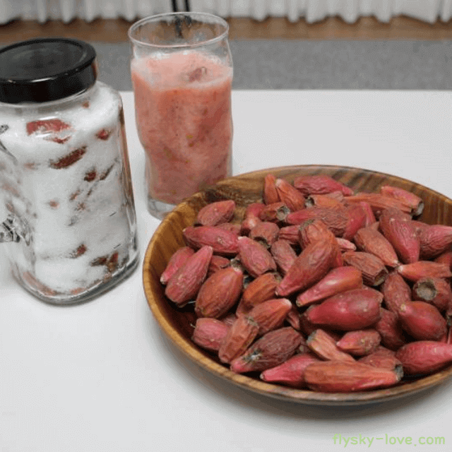 천년초 먹는 방법