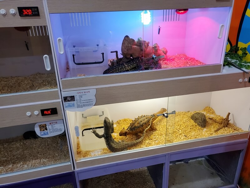 하이주실내동물원