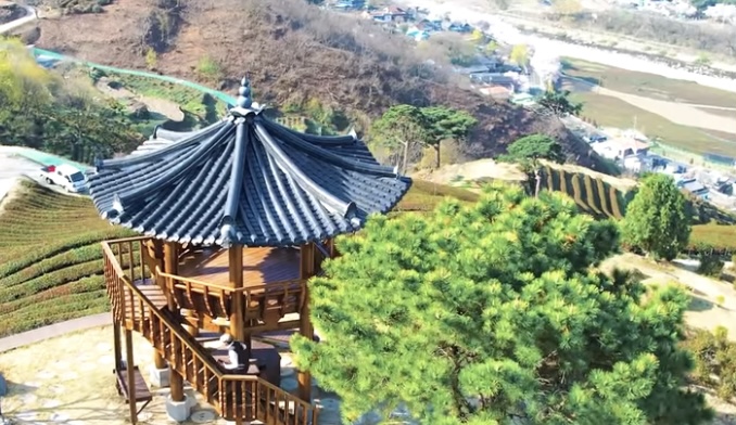 하동 정금차밭2