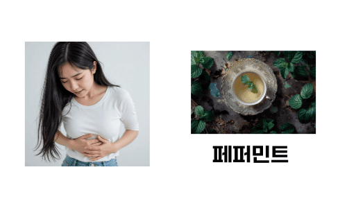페퍼민트