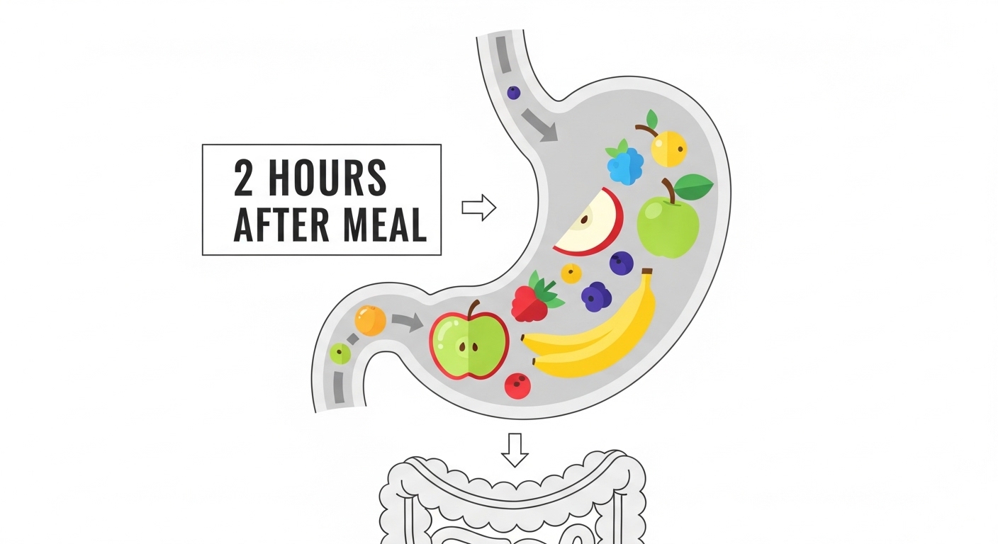 식사전후과일섭취다이어트