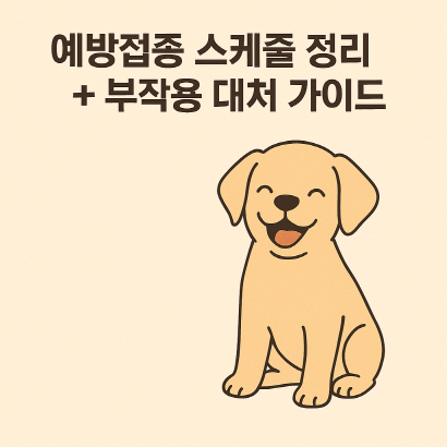 수의사가 알려주는 강아지 예방접종 일정표와 안전관리 팁