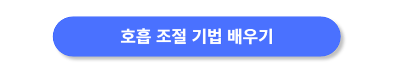 버튼