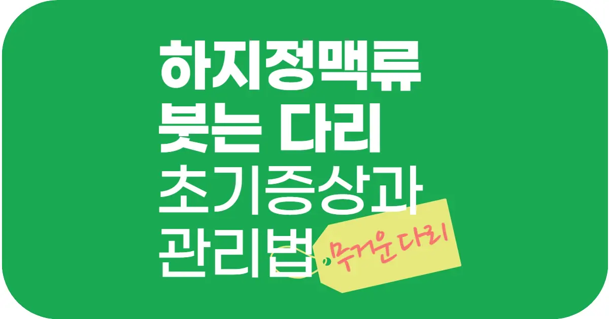 다리가 무겁고 붓는다면? 하지정맥류 초기 증상과 관리법