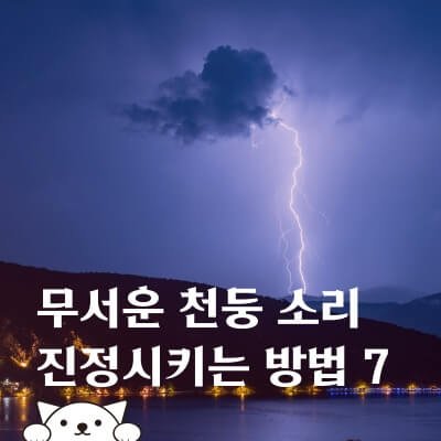무서운-소리에-놀란-강아지-고양이-진정시키는-방법-썸네일