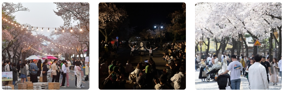 2024 벚꽃 개화시기 및 전국 벚꽃 명소 알아보기