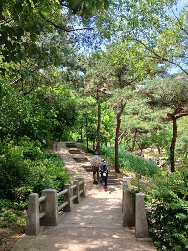 인왕산 둘레길 오르다