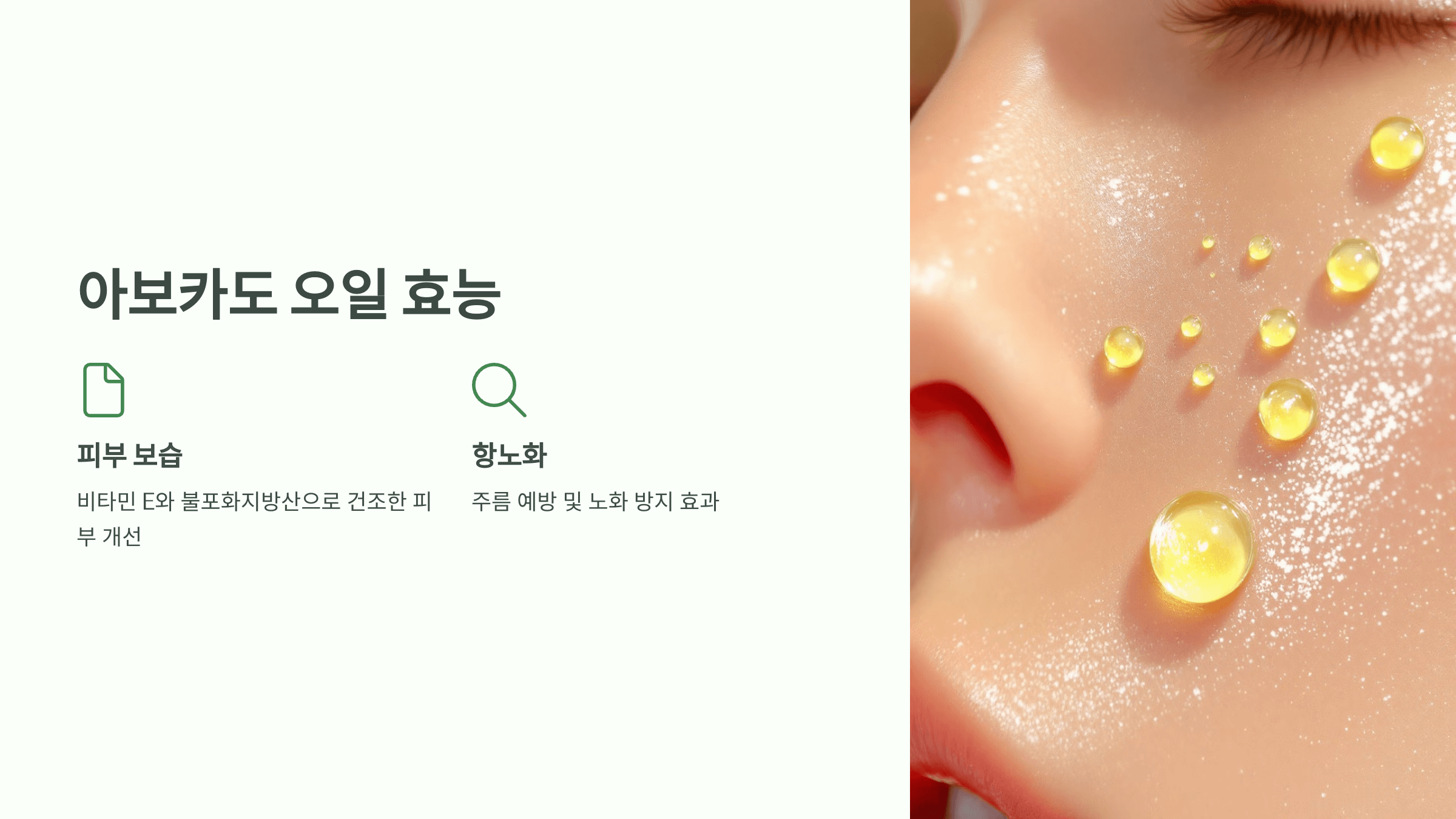 아보카도 오일 사진입니다.