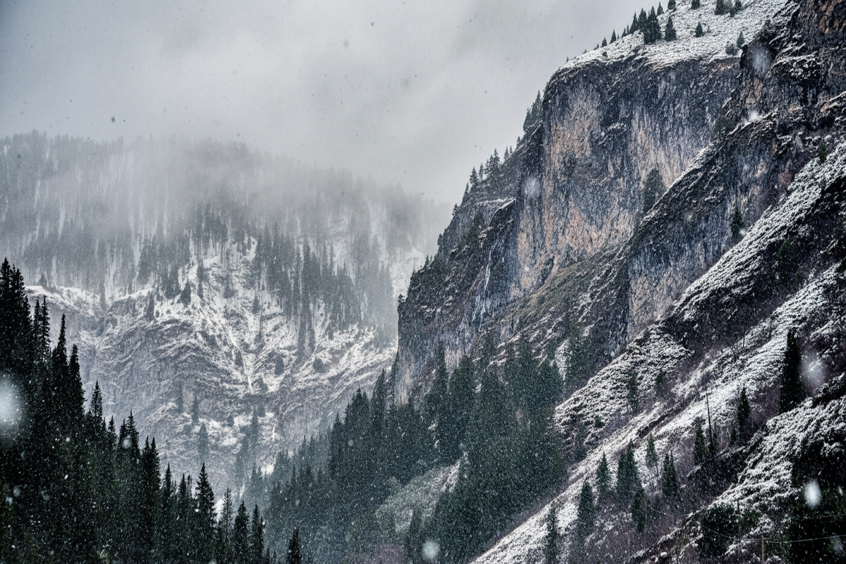 2024 올 겨울날씨