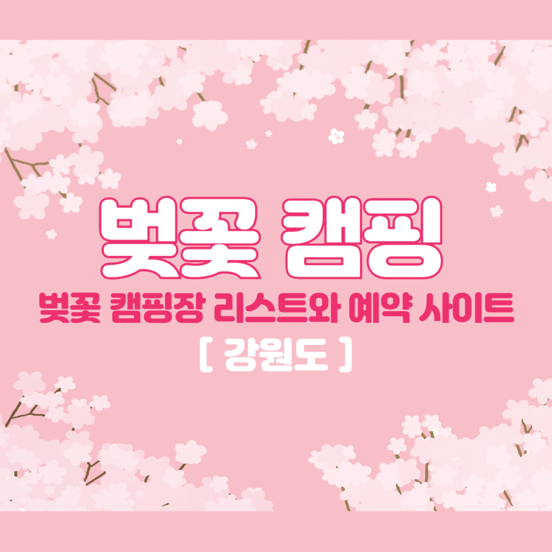 강원도 벚꽃 캠핑장 리스트와 예약 사이트