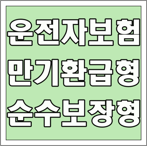 운전자보험 만기환급형 순수보장형 글씨 썸네일