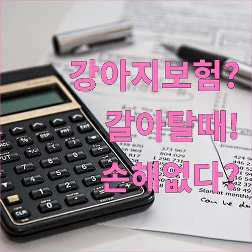 강아지 보험 갈아타기, 손해 보지 않..