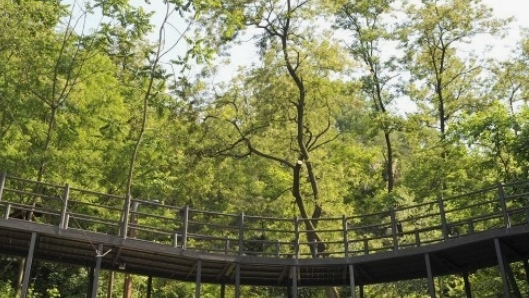 서울 안산자락길