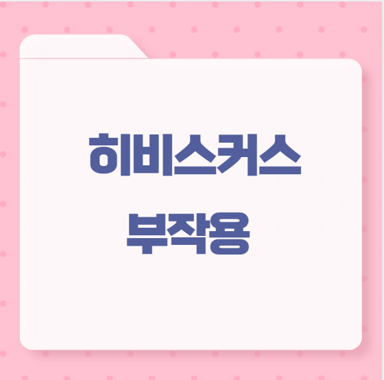 히비스커스 부작용