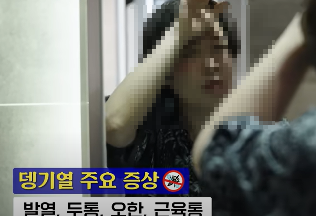 뎅기열주요증상 설명 이미지