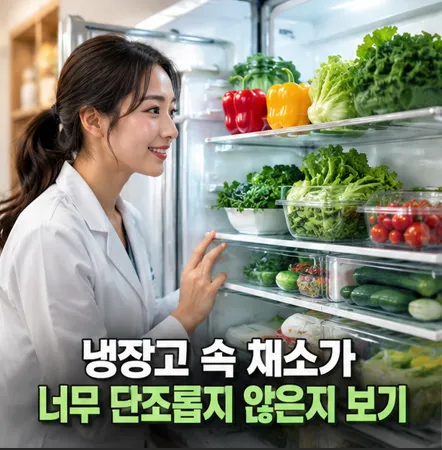 장고 속 채소가 너무 단조롭지 않은지 보기