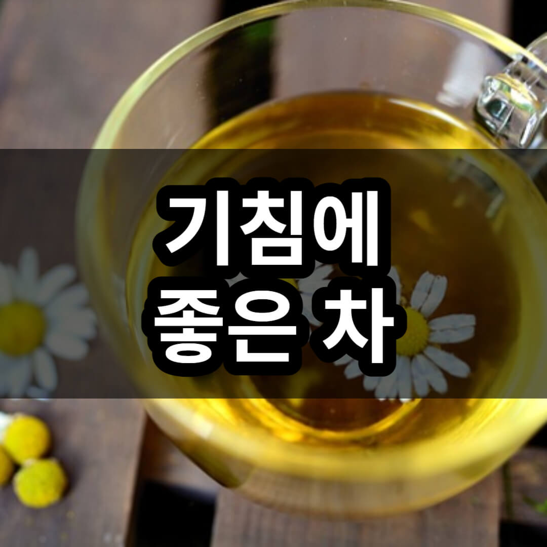 기침에 좋은 차