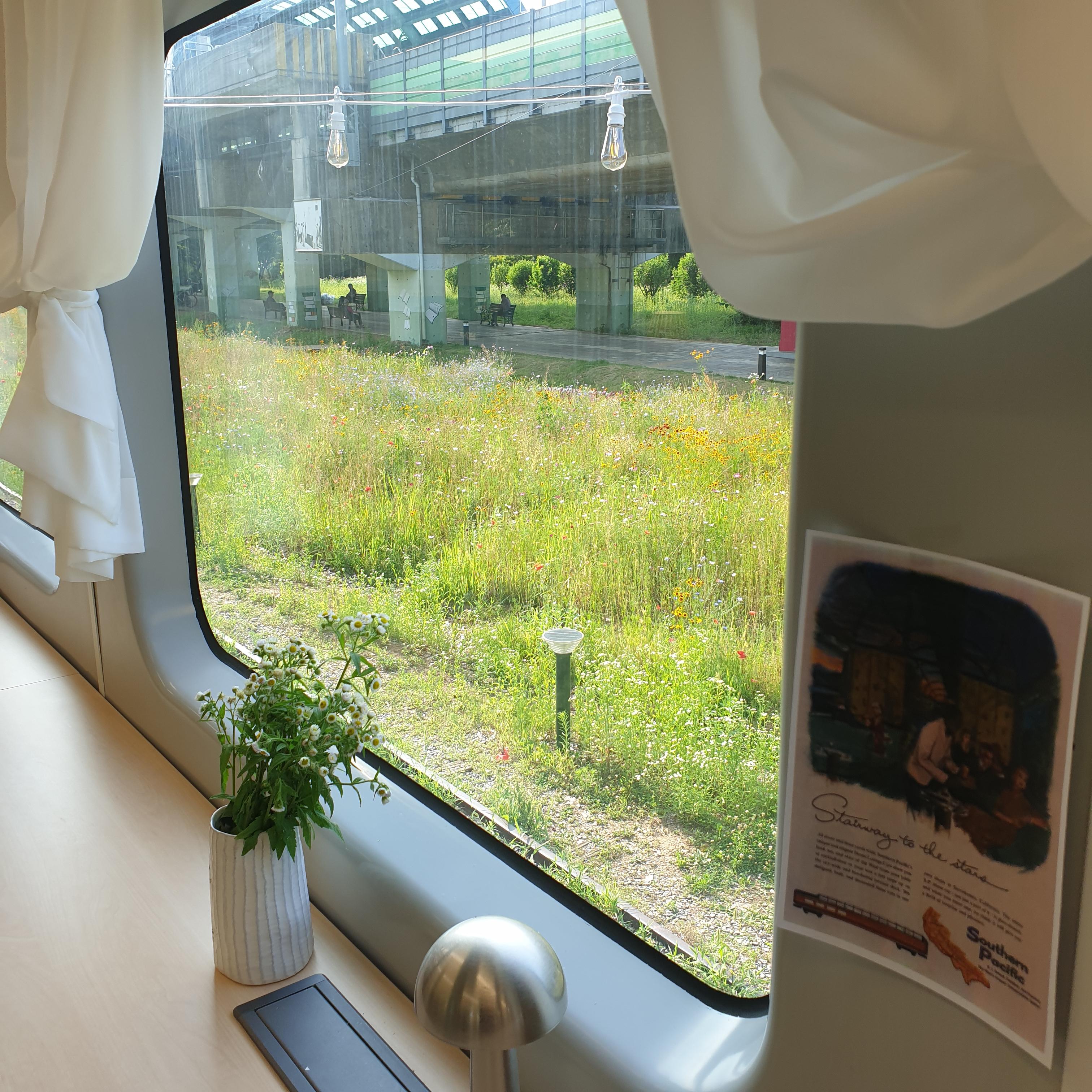 세라티 카페 창문 밖