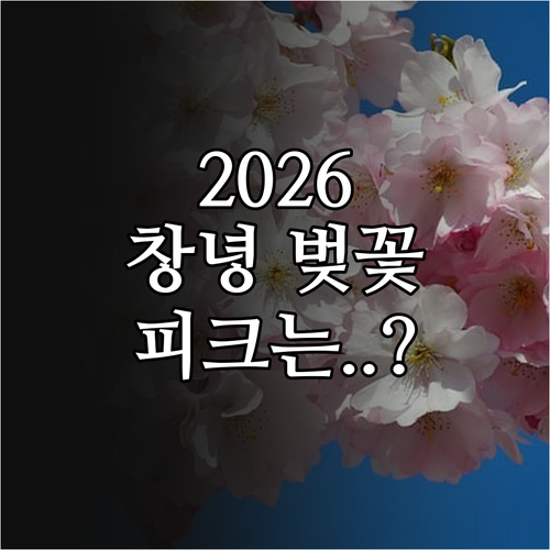 2026년 창녕 벚꽃 구경하기 좋은 ..