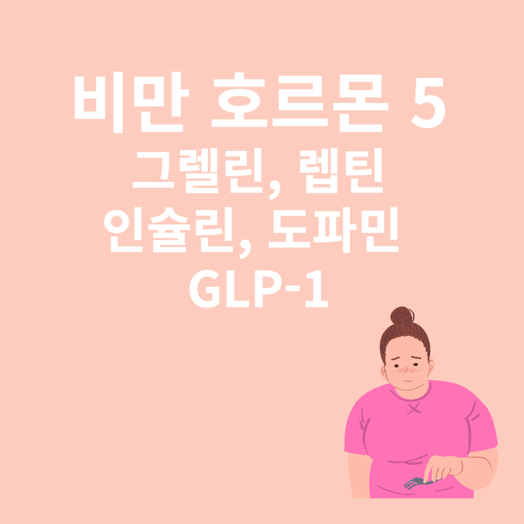 비만과 관련된 이미지