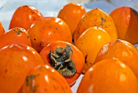 홍시의효능부작용