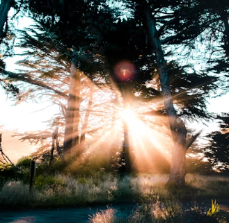 백내장 초기증상 발병원인 관리 방법