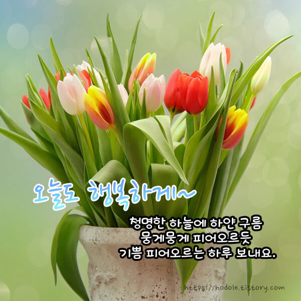 기쁨이뭉게뭉게