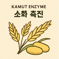 카무트 효소 효능